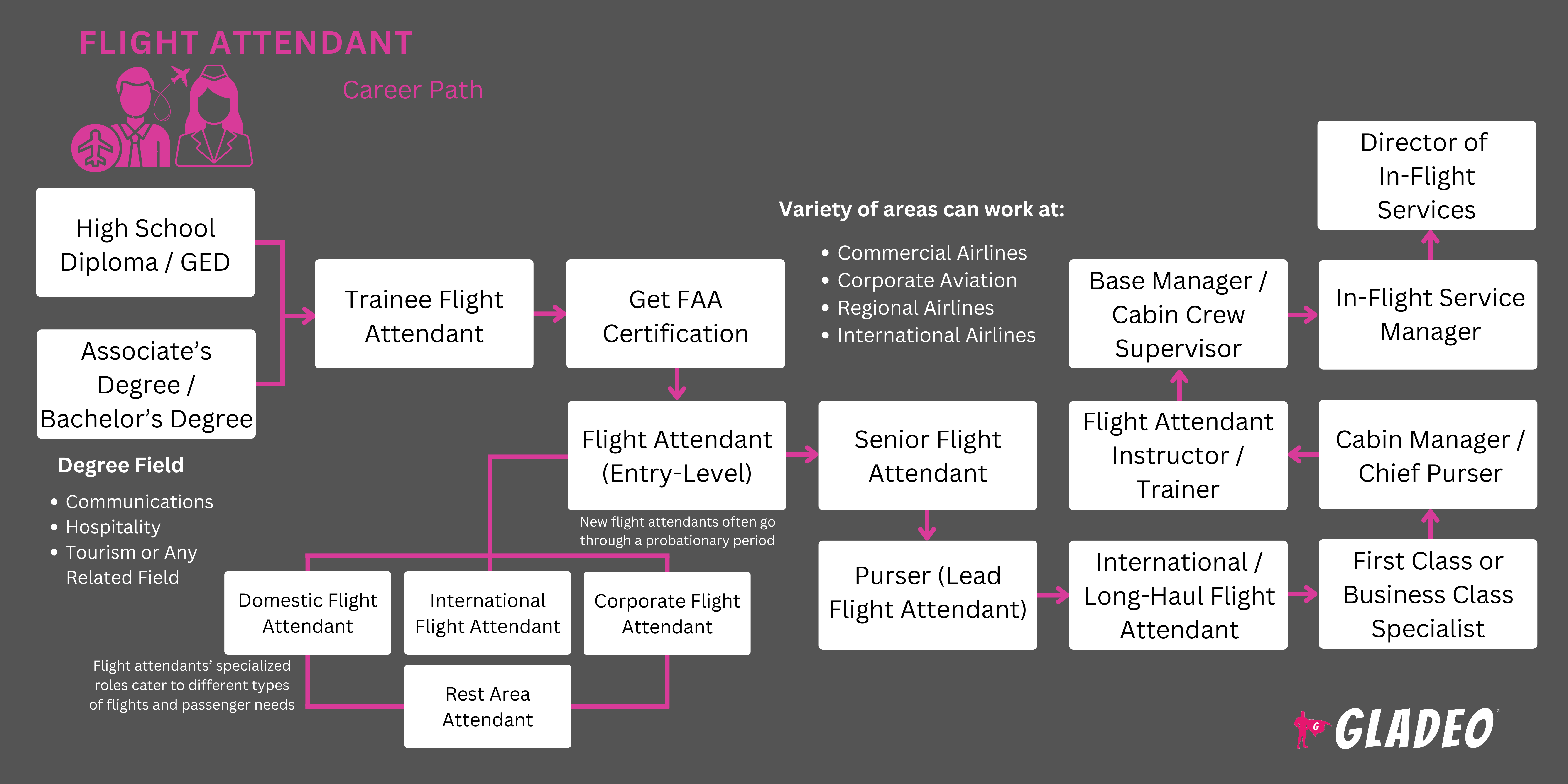 Flight Attendant Roadmap