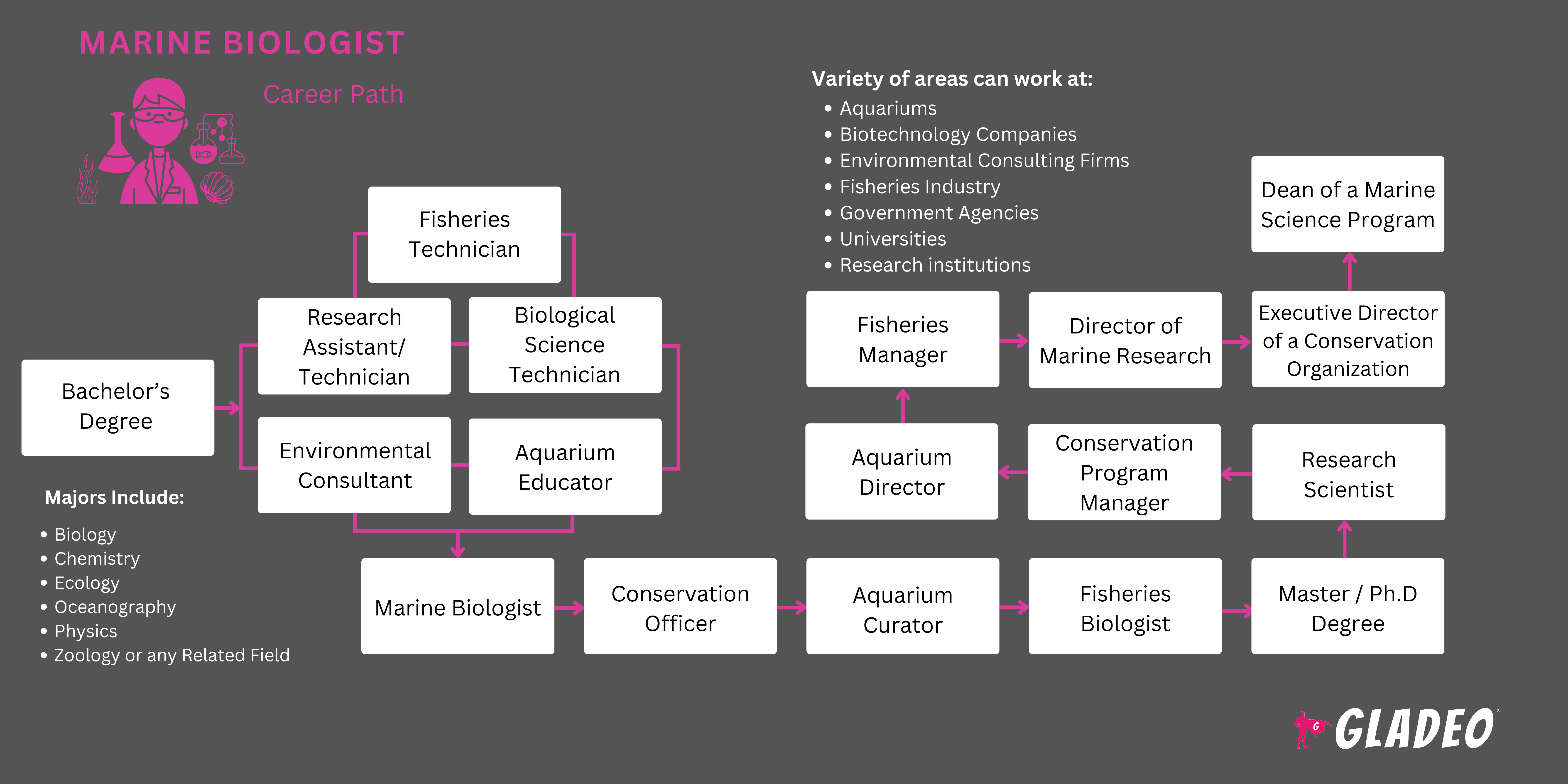 Marine Biologist Roadmap