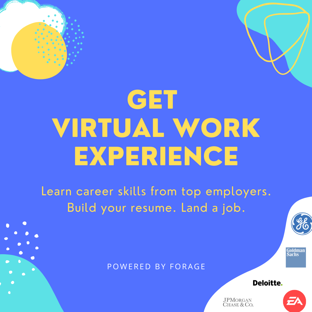 Virtual Work Experience