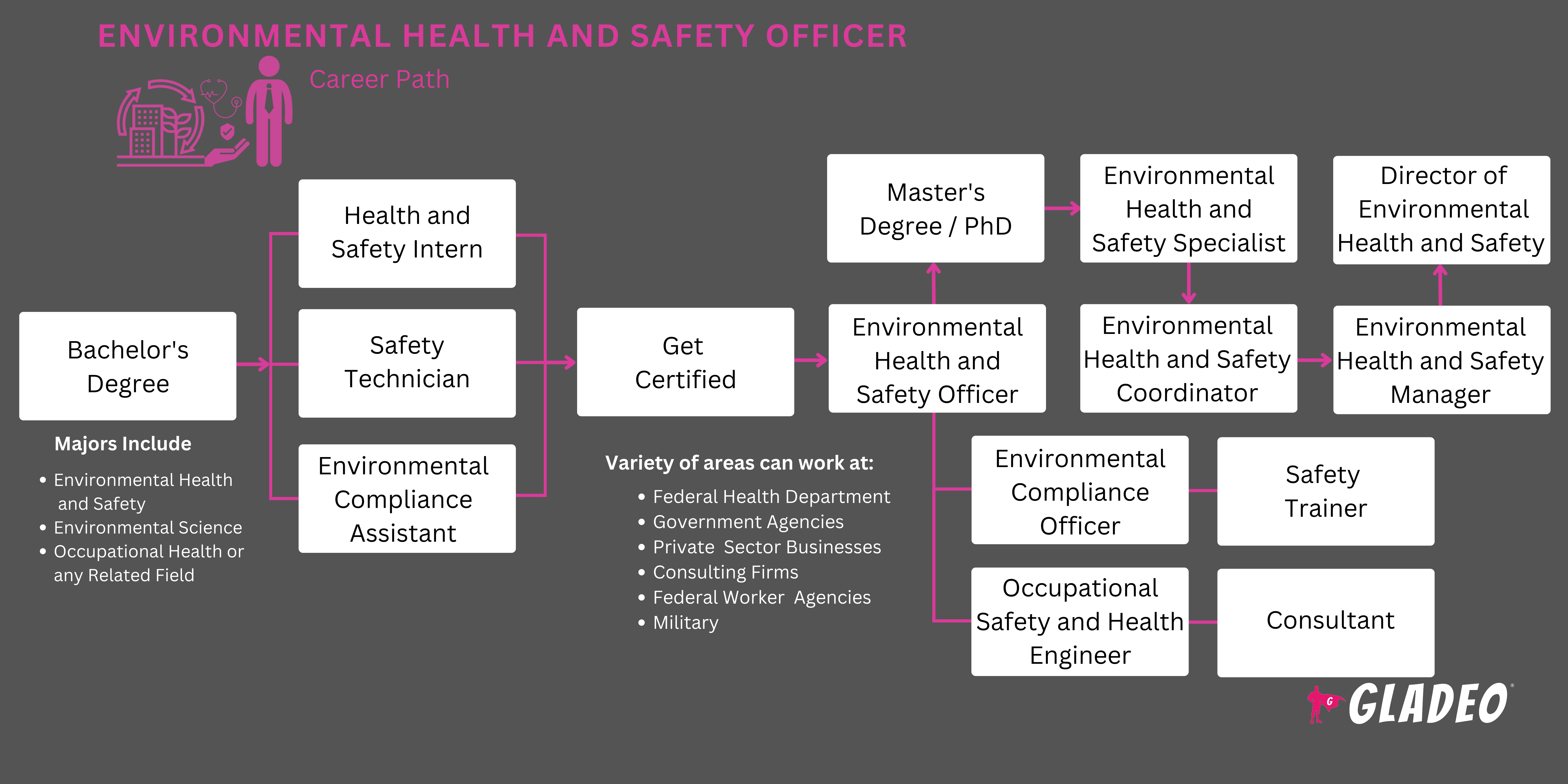 Environmental Health and Safety Officer Roadmap